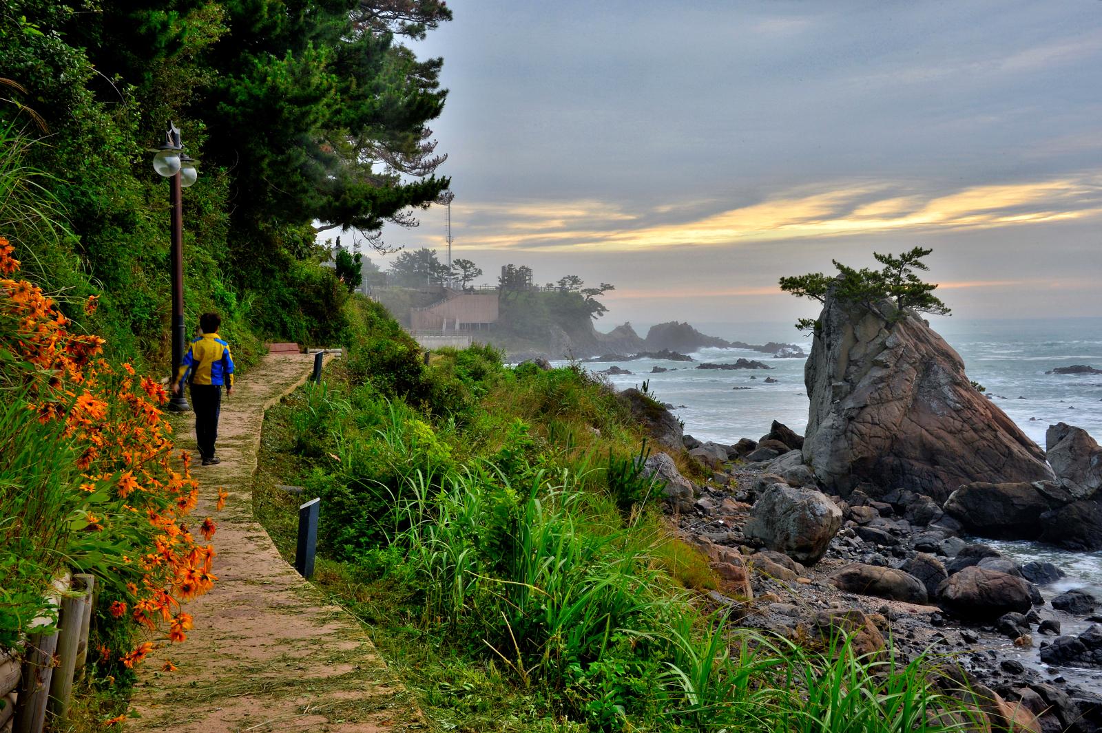 파도소리길 아침산책_김하영(입선)